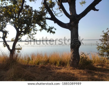 An amazing view of the upper lake in the evening at the city of lakes, Bhopal, the capital city of the state called Madhya Pradesh in India. The lake attracts tourists and migratory birds alike. Royalty-Free Stock Photo #1881089989