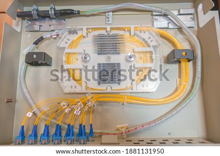 internal wiring of the optical patch panel in the wall cabinet for signal transmission via optical cables                                              