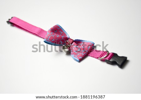 Colorful cat necklace and 
cat collar on white background.