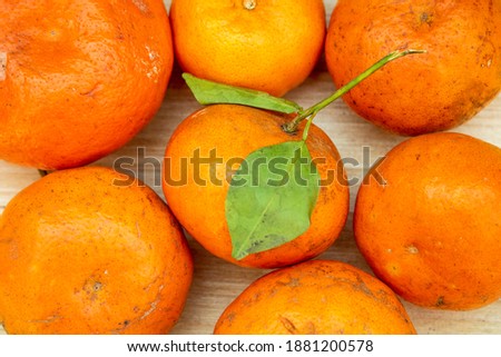 winter tangerines, orange color background