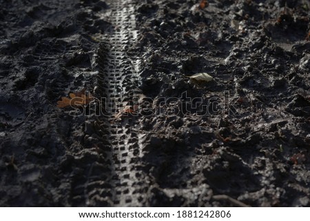 2 - Full frame muddy background with tyre print and foot steps. Deep mud from heavy winters rain, forming a boggy marsh like terrain. Leaves on top.