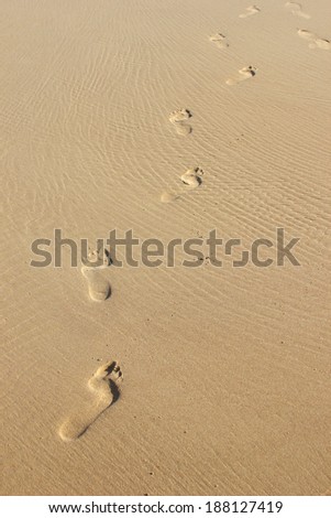 Footprints in the wet sand
