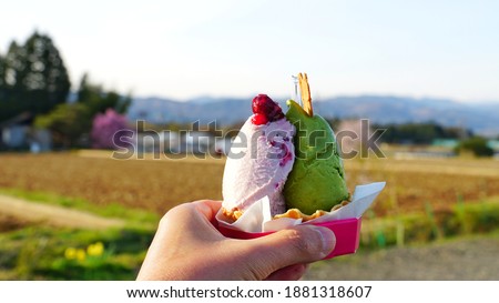 Delicious gelato icecream at local shop in Japan, Asia. 