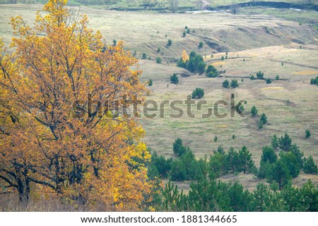 Autumn landscape photography. Colorful autumn landscape in the countryside. A beautiful morning. European part of the earth
