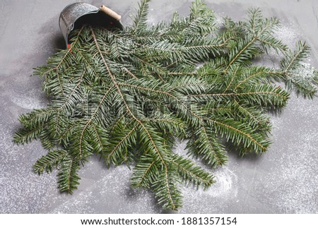 
A bouquet of green spruce branches in an iron bucket on a gray background. Copy space for text. Christmas concept.