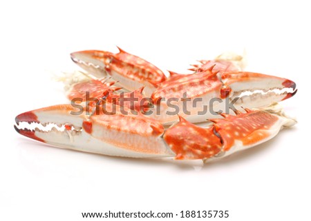 cooked crab, closeup of pictures on a white background. 