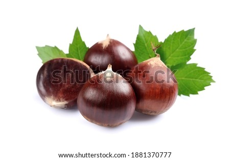 Chestnut with leaves on white backgrounds. Chinese food. Horse chestnuts