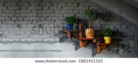 On gray brick wall wooden shelf with flowerpots. Green plants in trendy color pots: blue, orange, yellow. Modern interior. Wide banner, copy space