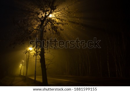 Late evening, night on abandoned road surrounded by woods, foggy street lights illuminating sidewalk and road with eerie yelowish colour through tree's branches