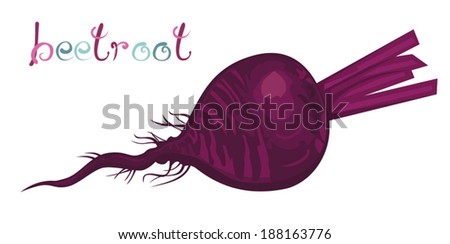 Illustration of fresh beetroot also names are table beet, garden beet, red beet or beet vegetable. Cartoon vegetable. Clip art with title. Isolated on white. Vector file is grouped EPS8.