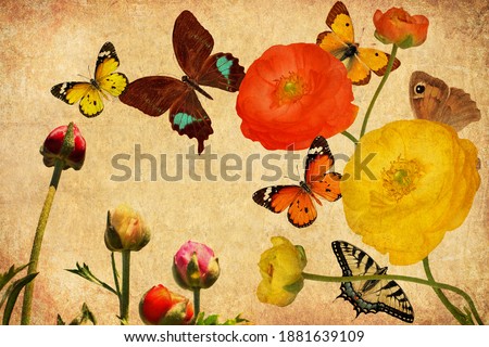 Textured old paper background with beautiful wild flowers and exotic butterflies