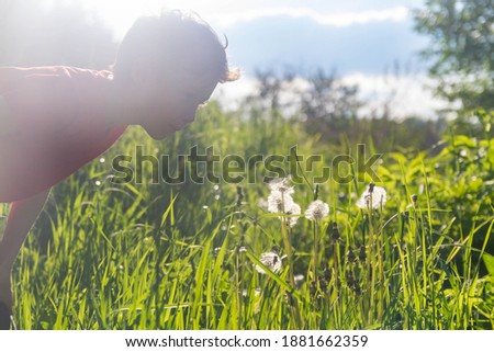 Air flowers dandelions in the meadow. The boy blows away the price of a dandelion.
