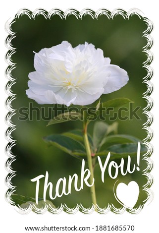 Thank you note with photo of flower
