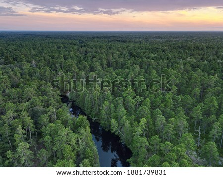 Aerial Photograph of the New Jersey Pine Barrens and Mullica River Royalty-Free Stock Photo #1881739831