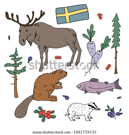 hand drawn set with animal and plants from Sweden. Doodle forest animals and plants. Sweden flora fauna. Scandinavia wild animals.