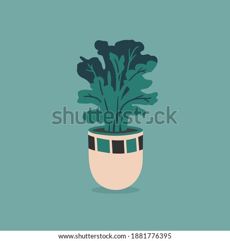 Vector pot with house flower isolated on colorful background