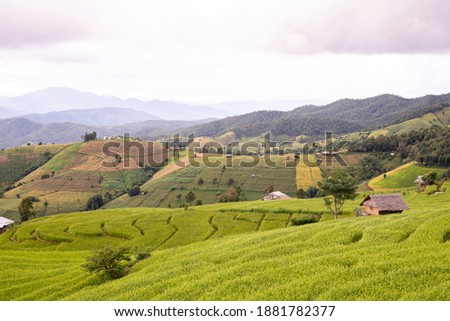 Beautiful view scenery of cottage and rice terraces at Baan Pa Bong Piang,Chiang Mai province,Thailand