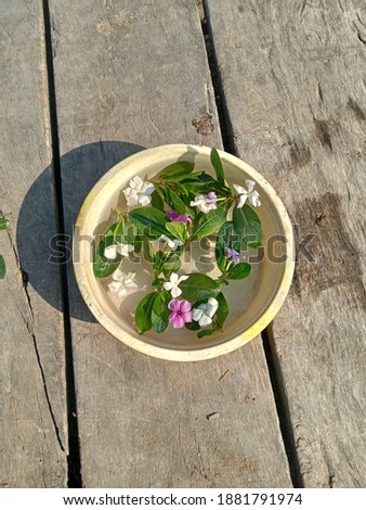 Copper or brass bowl with water and dry bright flowers for flower therapy. Mental health regulation. Top view. Copy space.Two pink periwinkle flowers on the pond water.