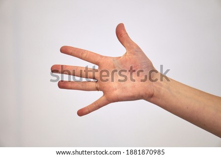 High five. Right palm Caucasian female hand shows 5 fingers. Hand brush on a white background. High quality photo