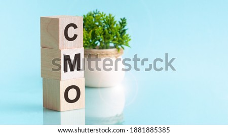 Three wooden cubes with letters - CMO - Chief Marketing Officer, on blue table, space for text in right. Front view concepts, flower in the background.