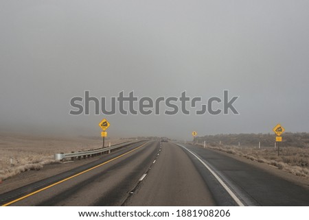 Foggy autumn highway among the mountains with yellow road signs, yellow grass on the sides