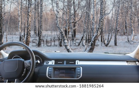 View through the windshield of a car on a winter snow-covered birch forest