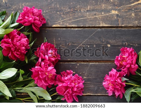 Place for a congratulatory text. Spring floral background. Burgundy peonies on a dark wooden background.