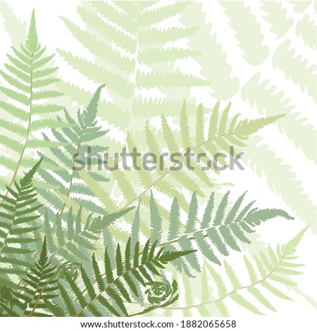 Fern font leafs tropical forest vector isolated. colourful leaves background, flat design. Pastel colours. stock illustration Royalty-Free Stock Photo #1882065658