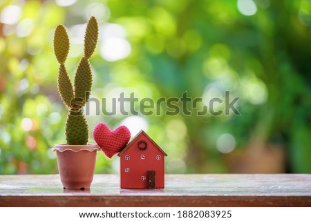 The buying a new real estate as a gift to family or the one loved concept, a home model tied with red heart and cactus put on the wood on sunlight in the public park.