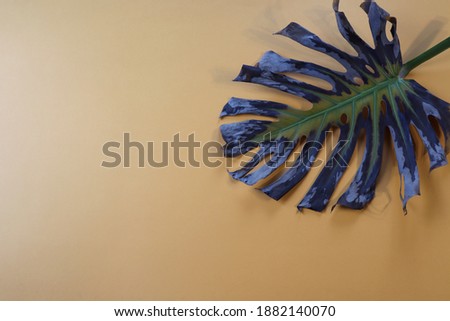 Withering palm leaf lying on the side on a coffee background, top view, place for text