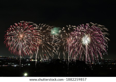 Yoro Park 140th Anniversary Fireworks "Light of Hope