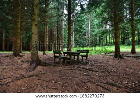 Picnic table with wooden table in the fir forest of Pratizzano, Ramiseto, Reggio Emilia, Emilia Romagna, Italy