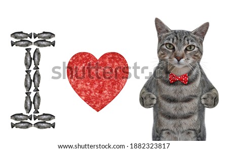 A gray cat is standing near a heart shaped sausage and a fish letter I. White background. Isolated.