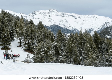 Baqueira Beret in Lerida Catalonia ski spot resort in Aran Valley of Pyrenees Spain on January 27, 2020. Horse sled on the snow .