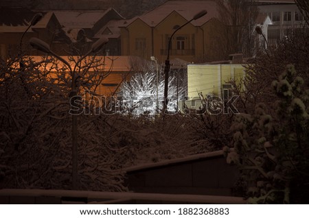 Tree illuminated by a lantern at night in winter, in the middle of other trees and houses, all covered with snow