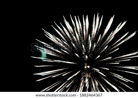 Blur background,Photo of Fireworks in the Sky, New Year festival concept.