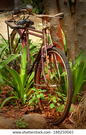 Close up of vintage old bicycle.