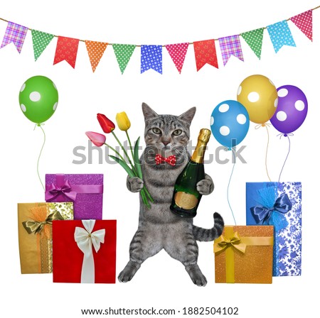 A gray cat with a bouquet of red tulips and bottle of wine is standing by holiday gift boxes. White background. Isolated.