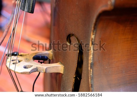 Contrabass. Musical string instrument close-up.