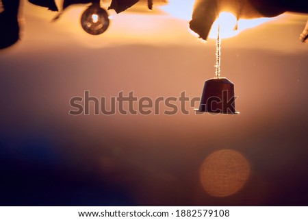Original garden decoration: Colorful empty coffee capsules hanging from the leaves of a tree