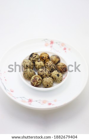 tasty bird egg stock on bowl for eat