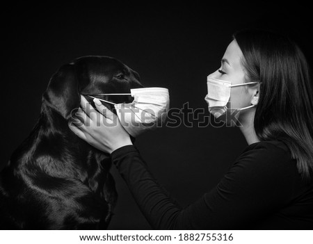 Portrait of a Labrador Retriever dog in a protective medical mask with a female owner. The picture was taken in a photo Studio