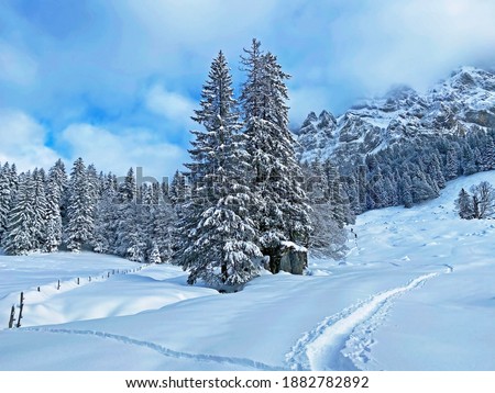 Wonderful winter hiking trails and traces on the fresh alpine snow cover of the Swiss Alps, Schwägalp mountain pass - Canton of Appenzell Ausserrhoden, Switzerland
