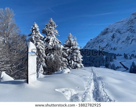 Wonderful winter hiking trails and traces on the fresh alpine snow cover of the Swiss Alps, Schwägalp mountain pass - Canton of Appenzell Ausserrhoden, Switzerland