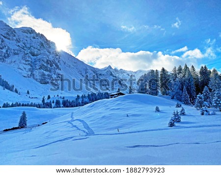 Mystical winter atmosphere on the Alpstein range in Appenzell Alps massif, Schwägalp mountain pass - Canton of Appenzell Ausserrhoden, Switzerland