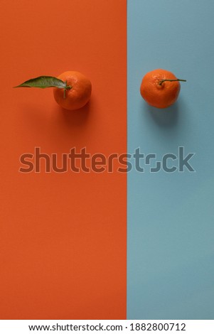 two mandarins on blue and orange background
