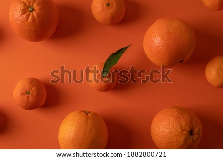 Oranges and mandarinas on orange color background pattern