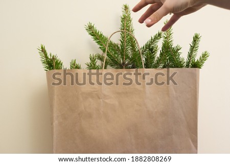Christmas tree in a paper package