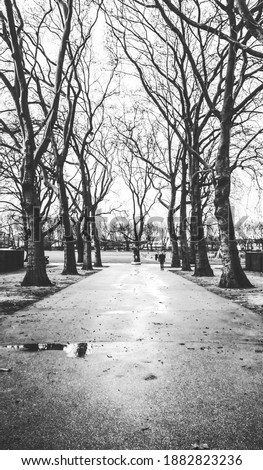 Black and white image of park path.