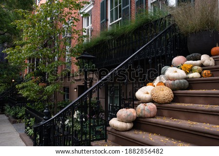 Colorful Pumpkins on the Stairs of an Old Brownstone Home in New York City during Autumn